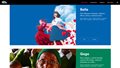 nahledy-portfolio-acfk-online-2.jpg