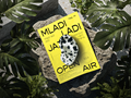 Marketa_Steinert_mladi_ladi_jazz_open_air_poster2.png