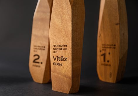 Retter-Jan_product-design_wooden-award-2.jpg