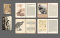Nevrly-design-book.jpg
