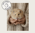 ProjectGallery-0.Content