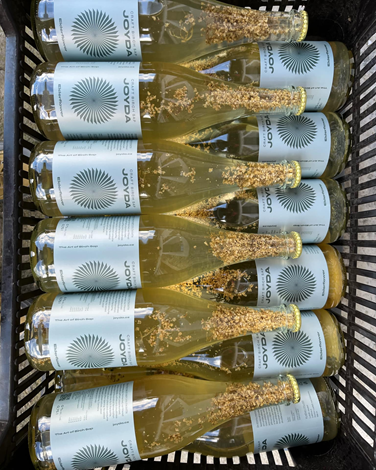 ProjectGallery-3.Content