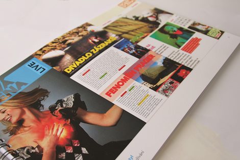ProjectGallery-1.Content