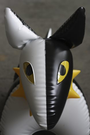 ProjectGallery-3.Content