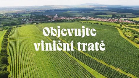 ProjectGallery-1.Content