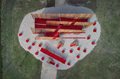 ProjectGallery-0.Content