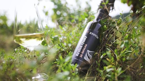 ProjectGallery-3.Content