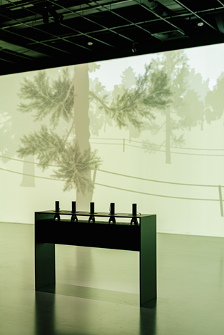 ProjectGallery-2.Content